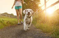 Gassigehen für die Gesundheit